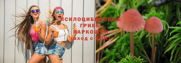 альфа пвп Курчалой