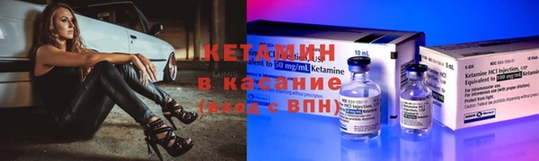 стаф Верея