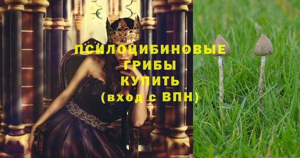 молекула духа Ростов