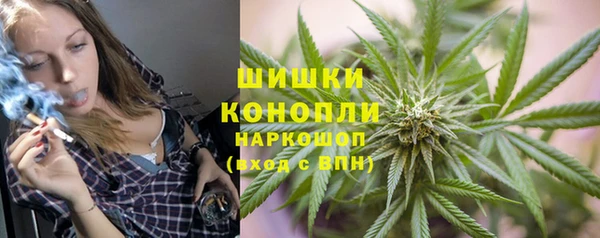 молекула духа Ростов