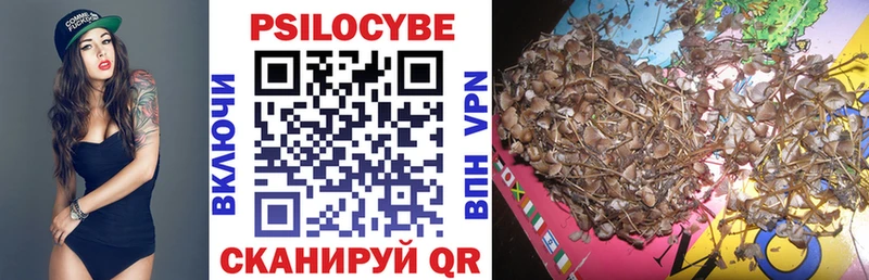 Псилоцибиновые грибы MAGIC MUSHROOMS  купить наркоту  Сим 